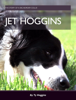 Jet the Border Collie - Ty Hoggins