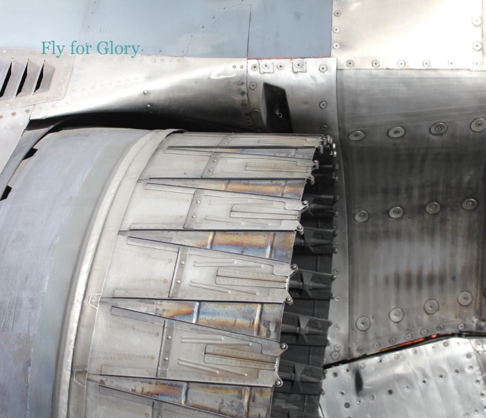 Fly for Glory
