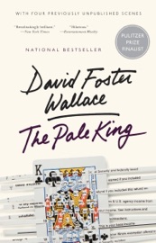 The Pale King - David Foster Wallace