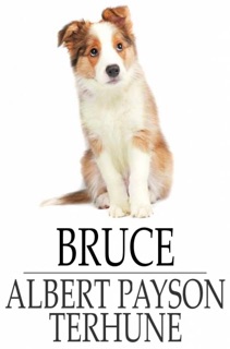 Bruce by Albert Payson Terhune