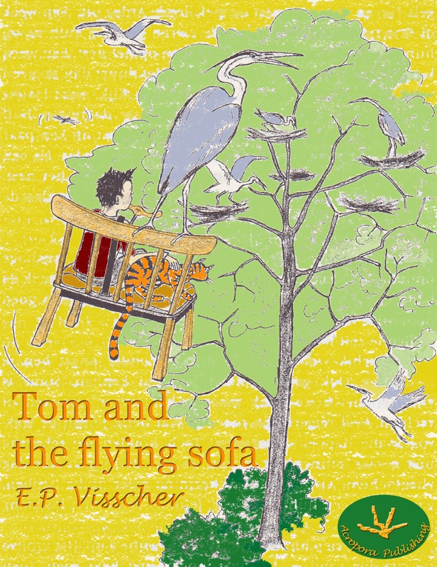 Tom and the Flying Sofa