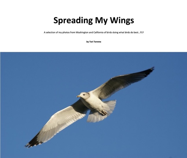 Spreading My Wings