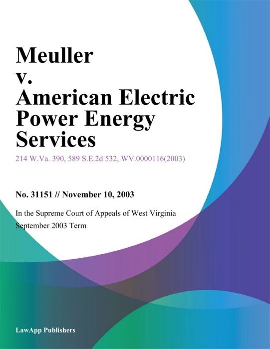 Meuller V. American Electric Power Energy Services