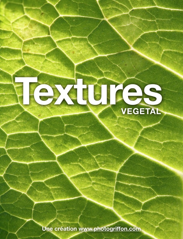 Textures - Végétal