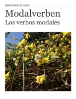 Modalverben