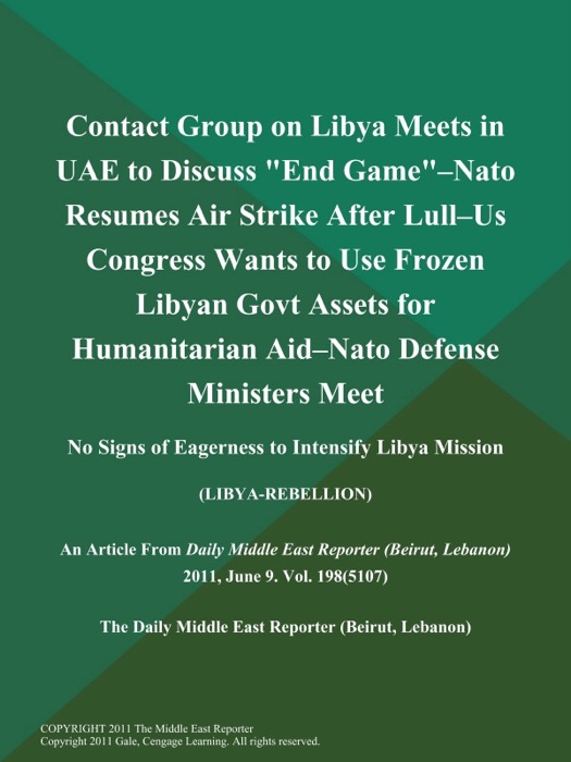 Contact Group on Libya Meets in UAE to Discuss 