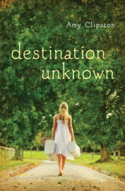 Destination Unknown - Amy Clipston