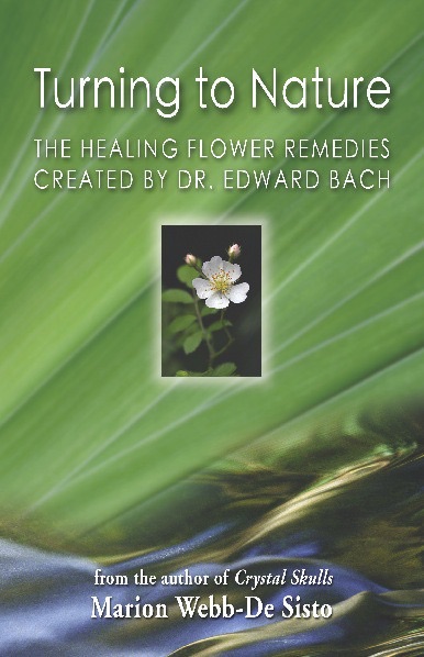Turning to Nature: The Healing Flower Remedies Created By Dr. Edward Bach