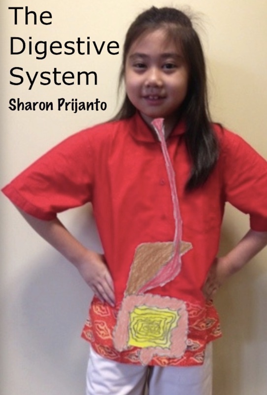 The Digestive System