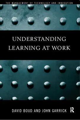 Understanding Learning at Work