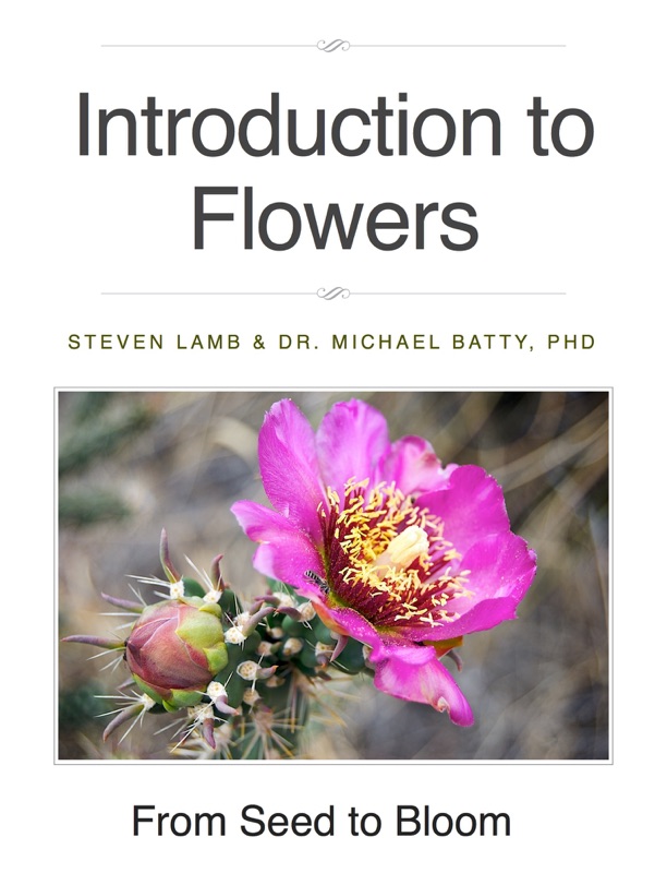 Introduction to Flowers