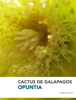 Cactus de Galapagos - Andres Cadena