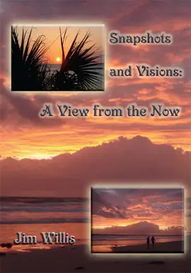 Snapshots and Visions