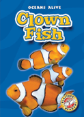 Clown Fish - Colleen Sexton