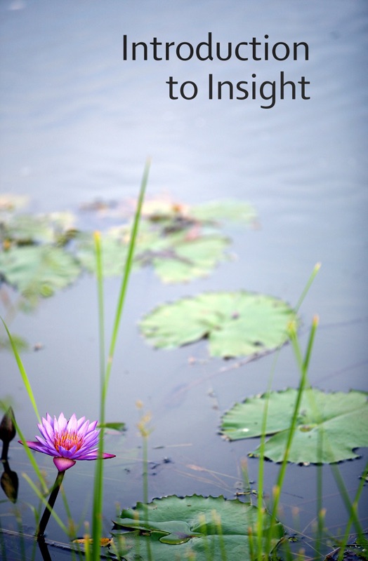 Introduction to Insight Meditation