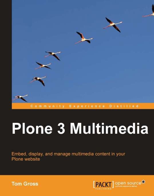 Plone 3 Multimedia