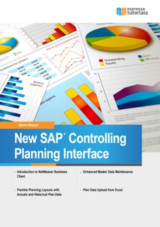 New SAP® Controlling Planning Interface by Martin Munzel