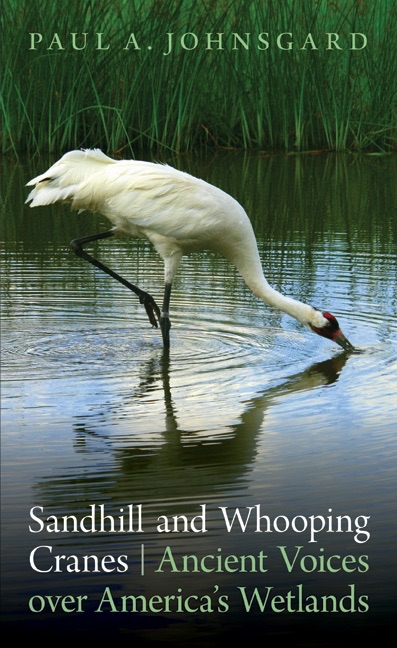 Sandhill and Whooping Cranes