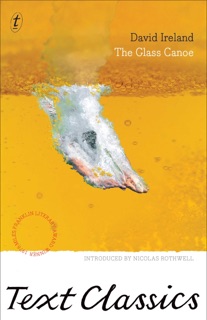 The Glass Canoe by David Ireland