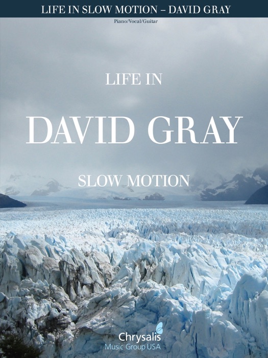 David Gray - Life in Slow Motion (Songbook)