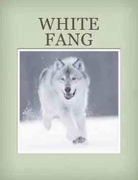 Read: White Book Fang