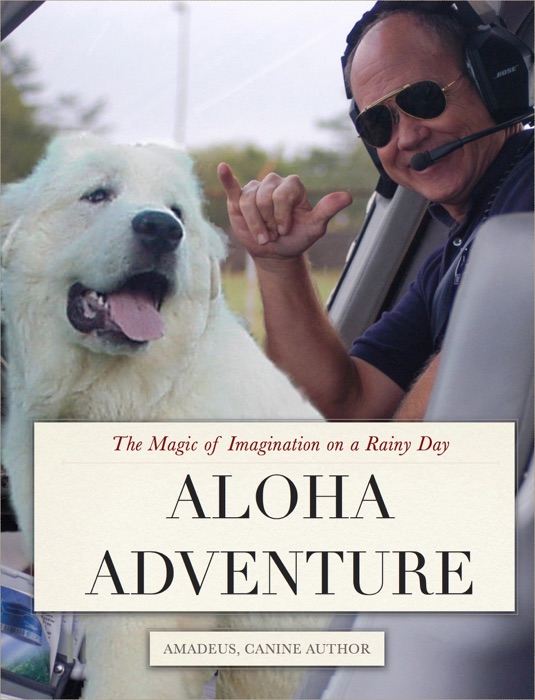 Aloha Adventure