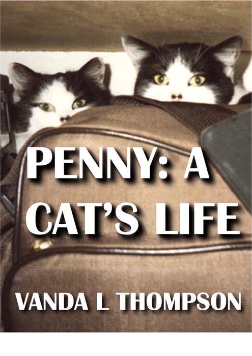 Penny: A Cat's Life