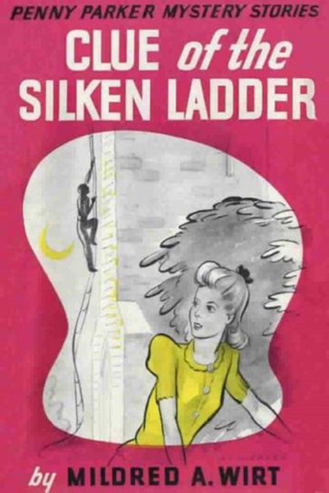 Clue of the Silken Ladder