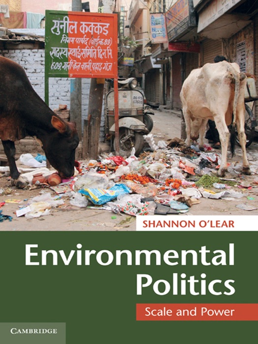 Environmental Politics