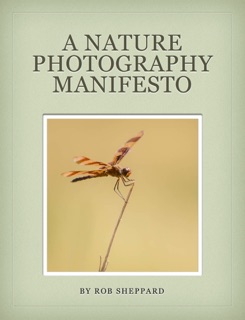 A Nature Photography Manifesto by Rob Sheppard