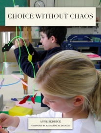 Choice Without Chaos - Anne Bedrick