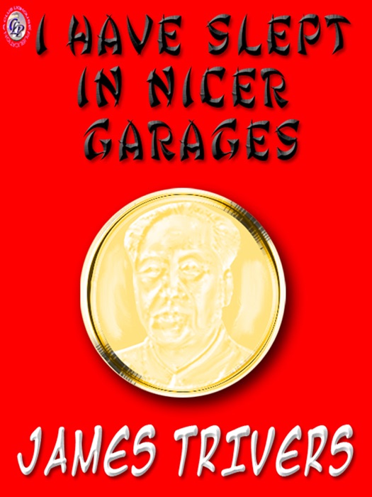 I Have Slept In Nicer Garages
