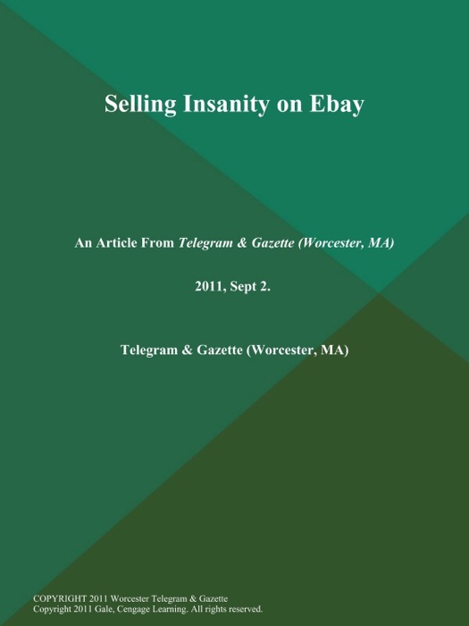 Selling Insanity on Ebay