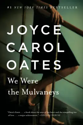 Read: We Were the Mulvaneys Book