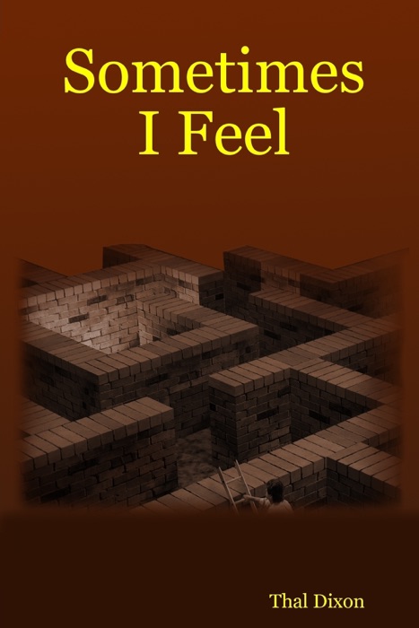 Sometimes i Feel