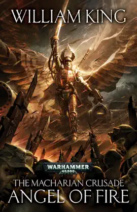 Read: Angel of Book Fire