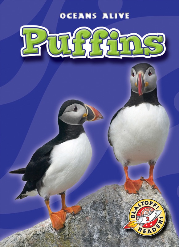 Puffins