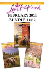 Love Inspired February 2014 - Bundle 1 of 2 - Brenda Minton, Leigh Bale & Renee Andrews