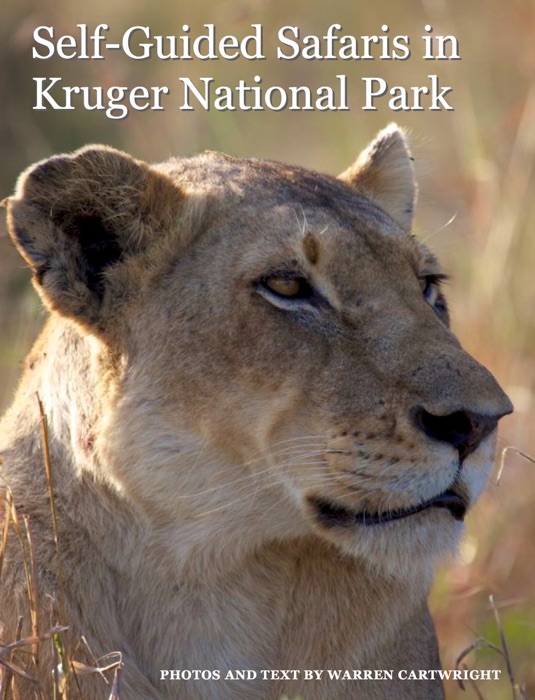 Self-Guided Safaris in Kruger National Park