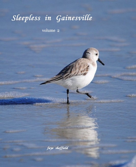 Sleepless in Gainesville