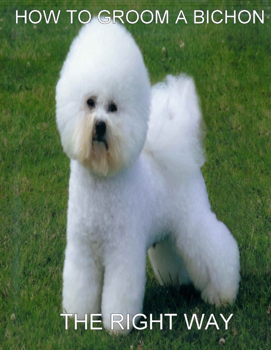 How to Groom a Bichon Frise.....The Right Way
