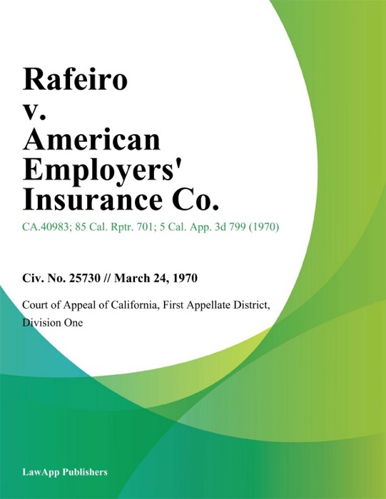 Rafeiro v. American Employers Insurance Co.