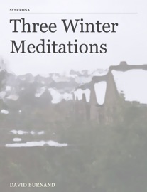Three Winter Meditations - David Burnand