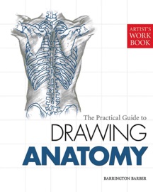 Book The Practical Guide to Drawing Anatomy - Barrington Barber