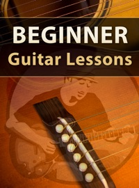 Book Beginner Guitar Lessons - Marty Schwartz