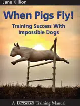 When Pigs Fly