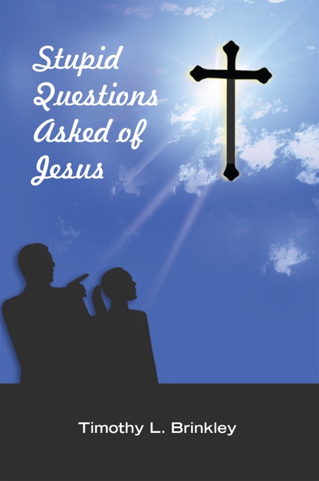 Stupid Questions Asked Of Jesus