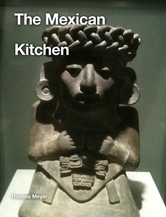 The Mexican Kitchen
