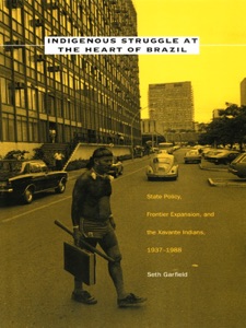 Indigenous Struggle at the Heart of Brazil