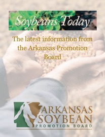 Soybeans Today